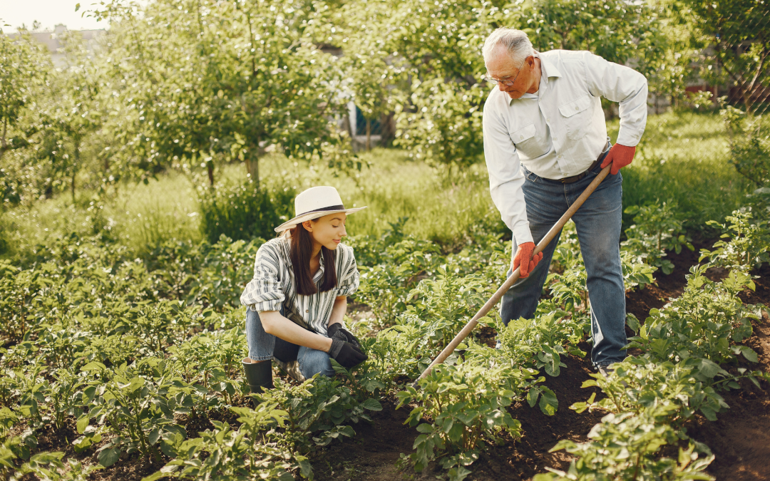 Books About Plant Care